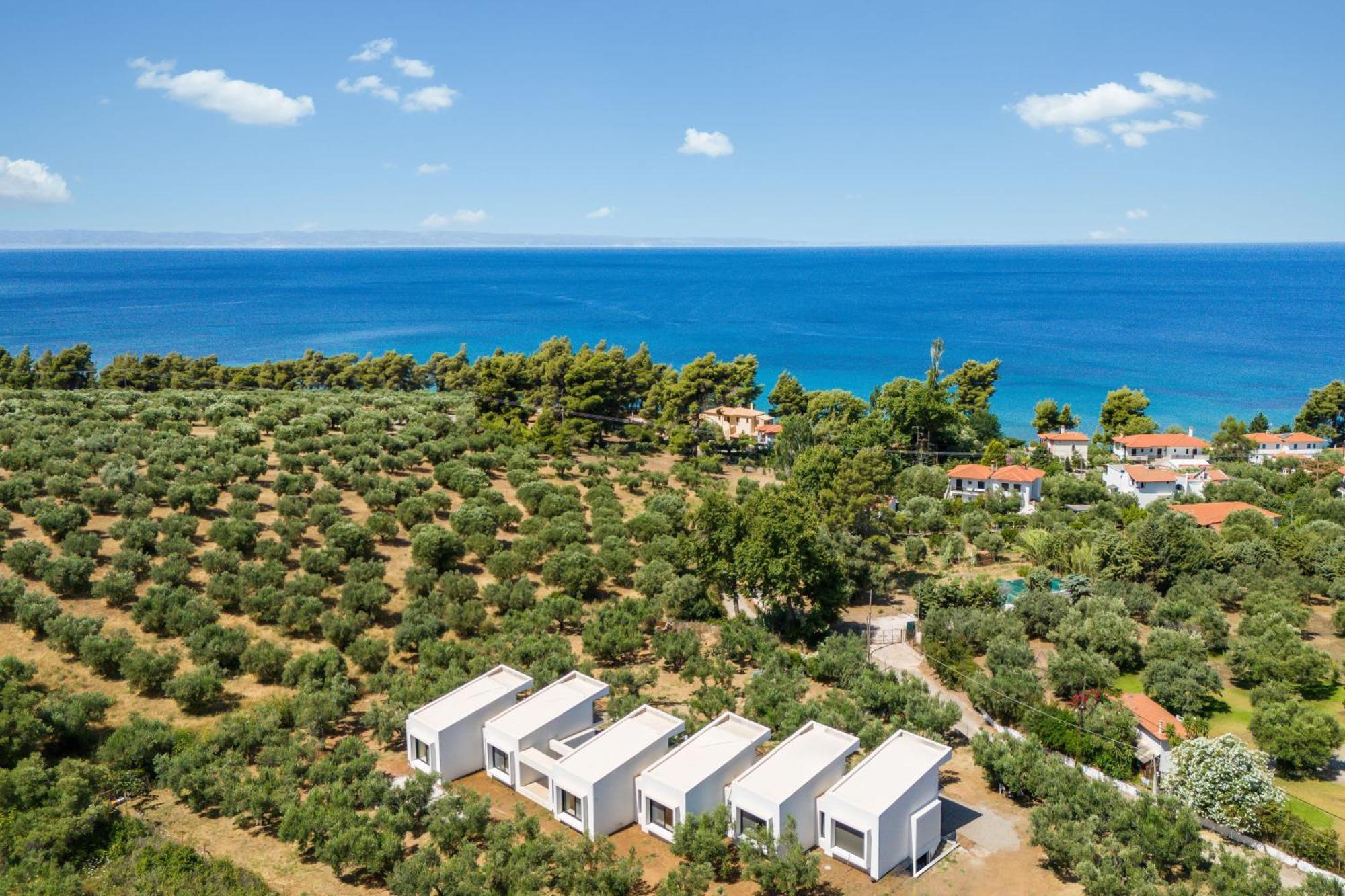 Olea Villas By Halu!, Cozy Villa In Nikiti Lagomandra Luaran gambar